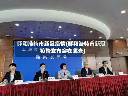 呼和浩特市新冠疫情(呼和浩特市新冠疫情发布会在哪查)-第2张图片