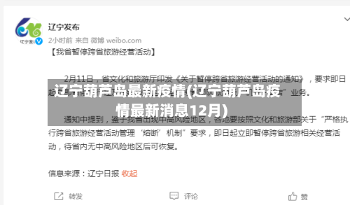 辽宁葫芦岛最新疫情(辽宁葫芦岛疫情最新消息12月)