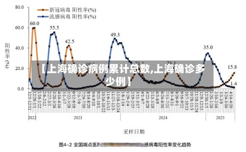 【上海确诊病例累计总数,上海确诊多少例】-第3张图片