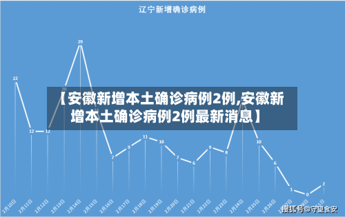 【安徽新增本土确诊病例2例,安徽新增本土确诊病例2例最新消息】-第2张图片