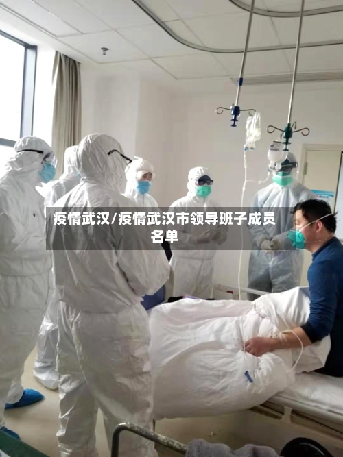 疫情武汉/疫情武汉市领导班子成员名单-第2张图片