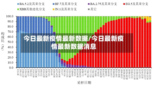 今日最新疫情最新数据/今日最新疫情最新数据消息