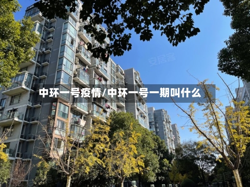 中环一号疫情/中环一号一期叫什么-第2张图片