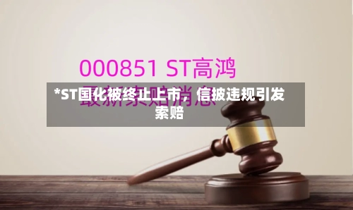 *ST国化被终止上市，信披违规引发索赔-第3张图片