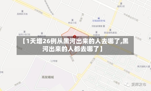 【1天增26例从黑河出来的人去哪了,黑河出来的人都去哪了】-第3张图片