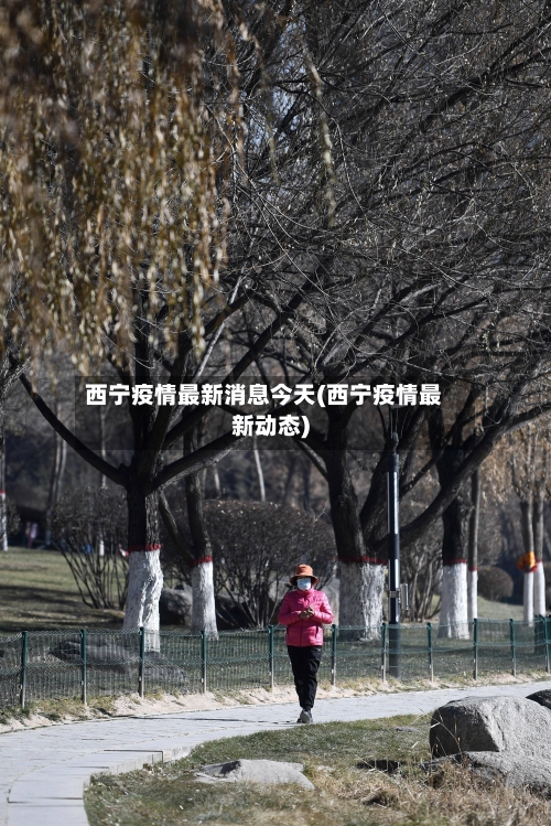 西宁疫情最新消息今天(西宁疫情最新动态)-第2张图片